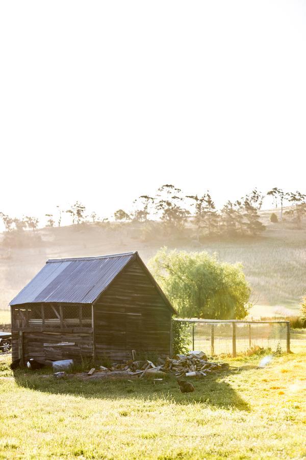 Daisy Bank Cottages Ричмънд Екстериор снимка