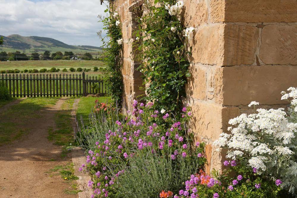 Daisy Bank Cottages Ричмънд Екстериор снимка